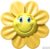 55 Flowers
